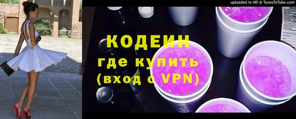 крисы Корсаков