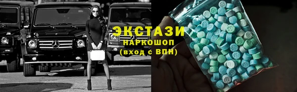 крисы Корсаков