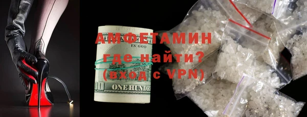 крисы Корсаков