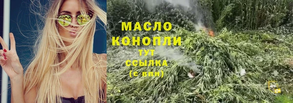 крисы Корсаков