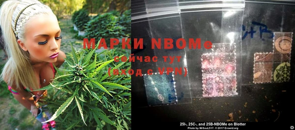 крисы Корсаков