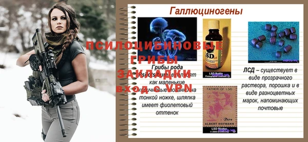 твердый Кемь