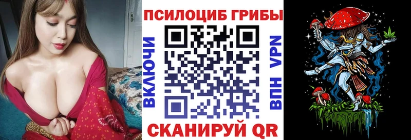 Купить  Демидов  Галлюциногенные грибы мицелий 
